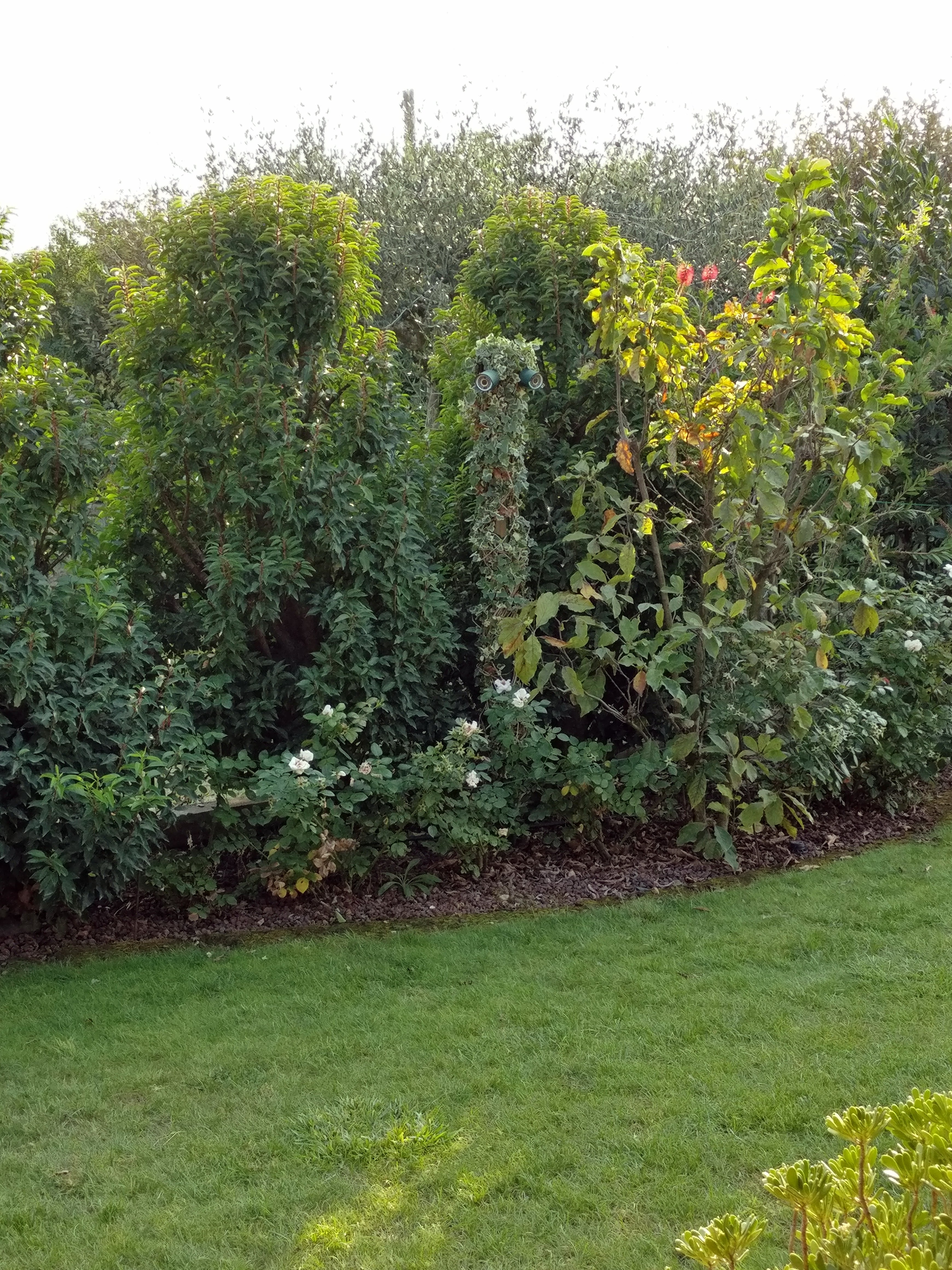 Videosorveglianza Montebelluna - Telecamera HD